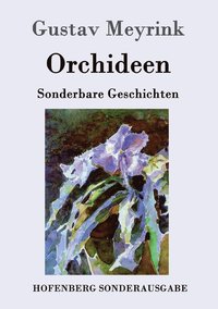 bokomslag Orchideen