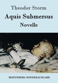 bokomslag Aquis Submersus