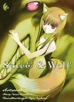 bokomslag Spice & Wolf 06