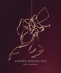 bokomslag Andrs Pereira Paz