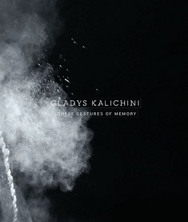 Daniela Leykam, Christoph Tannert, Künstlerhaus Bethanien - Gladys Kalichini, Häftad