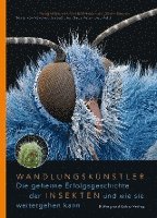 bokomslag Wandlungskünstler. Die geheime Erfolgsgeschichte der Insekten und wie sie weitergehen kann