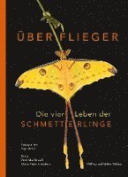 bokomslag Überflieger. Die vier Leben der Schmetterlinge