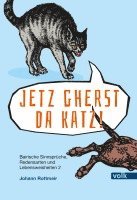 bokomslag Jetz gherst da Katz!