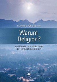 bokomslag Warum Religion?