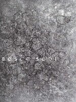 Juergen Krieger - Bosco Sodi, Inbunden