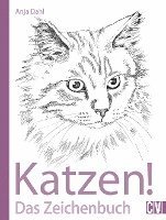 bokomslag Katzen!