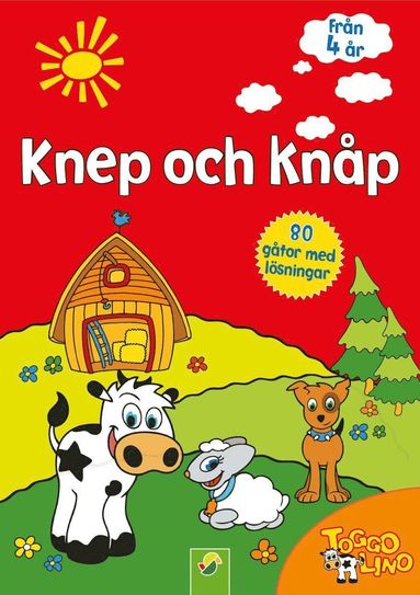 bokomslag Knep och knåp : 80 gåtor med lösningar (röd)