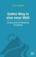 Fritz Laubach - Gottes Weg in eine neue Welt, Häftad