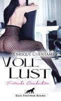 VollLust | 22 Erotische Geschichten 1