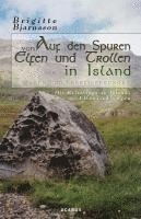 bokomslag Auf den Spuren von Elfen und Trollen in Island. Sagen und Überlieferungen