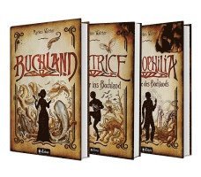 Markus Walther - Buchland Band 1-3: Beatrice. Rückkehr ins Buchland, Bibliophilia. Das Ende des Buchlands: Die komplette Trilogie als Hardcover-Ausgabe, Inbunden