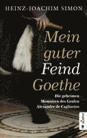bokomslag Mein guter Feind Goethe. Die geheimen Memoiren des Grafen Alexandre de Cagliostro