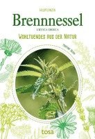 Brennnessel 1