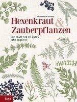 bokomslag Hexenkraut & Zauberpflanzen