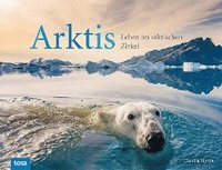 bokomslag Arktis