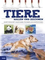 bokomslag Tiere malen und zeichnen