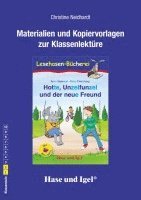 bokomslag Hotte, Unzelfunzel und der neue Freund / Silbenhilfe. Begleitmaterial