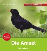 bokomslag Die Amsel / Sonderausgabe
