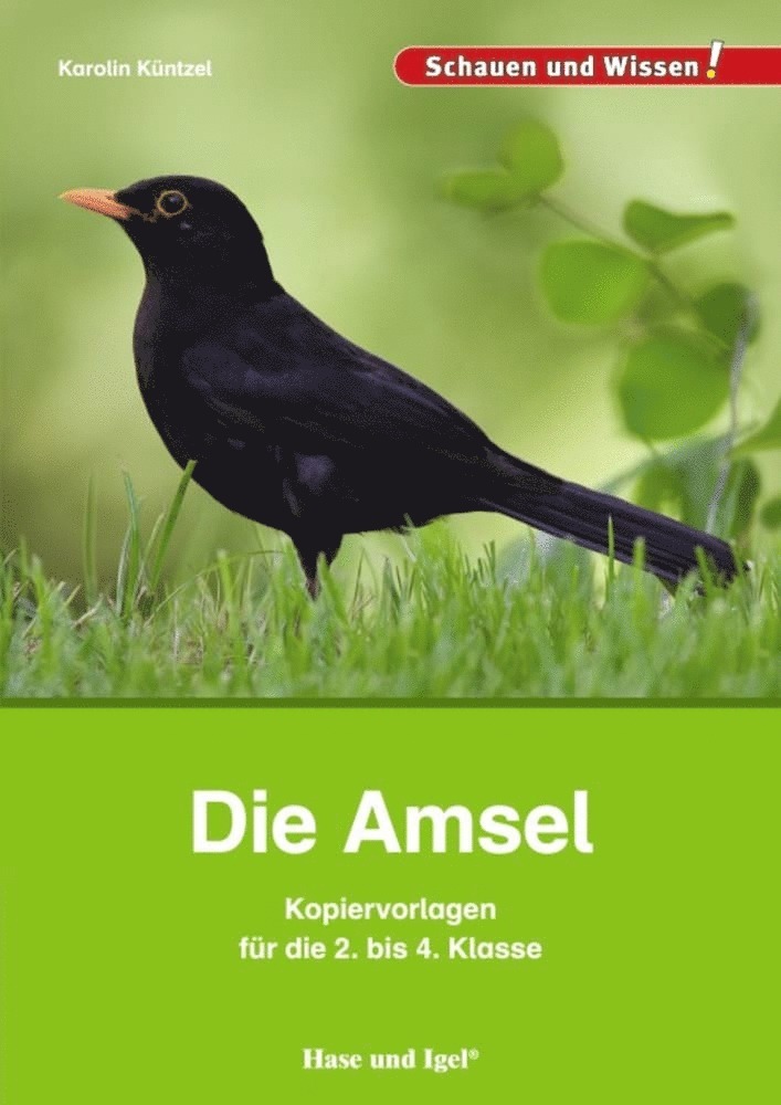Karolin Küntzel - Die Amsel - Kopiervorlagen für die 2. bis 4. Klasse, Häftad