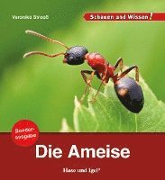 bokomslag Die Ameise / Sonderausgabe