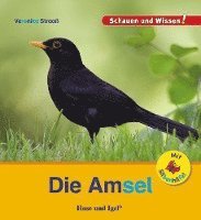 bokomslag Die Amsel / Sonderausgabe mit Silbenhilfe