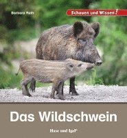 bokomslag Das Wildschwein