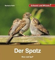 bokomslag Der Spatz