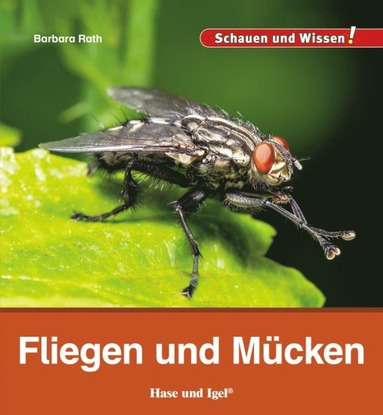 bokomslag Fliegen und Mücken