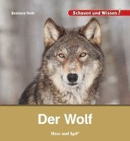 bokomslag Der Wolf