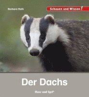 bokomslag Der Dachs