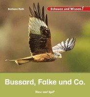 bokomslag Bussard, Falke und Co.