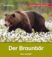 Der Braunbär