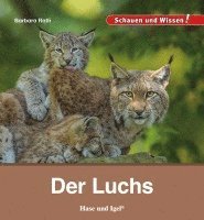 bokomslag Der Luchs