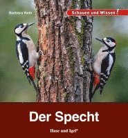 Der Specht 1