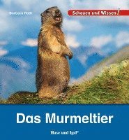 bokomslag Das Murmeltier