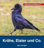 bokomslag Krähe, Elster und Co.