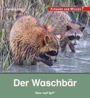 bokomslag Der Waschbär