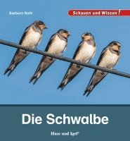 bokomslag Die Schwalbe