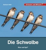 Barbara Rath - Die Schwalbe, Inbunden