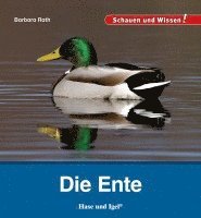 Die Ente 1