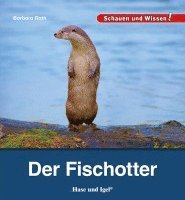 bokomslag Der Fischotter