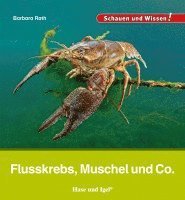 Barbara Rath - Flusskrebs, Muschel und Co., Inbunden
