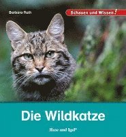 bokomslag Die Wildkatze