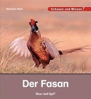 Der Fasan