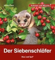 bokomslag Der Siebenschläfer