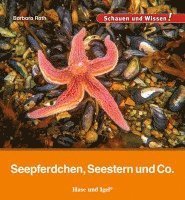 bokomslag Seepferdchen, Seestern und Co.