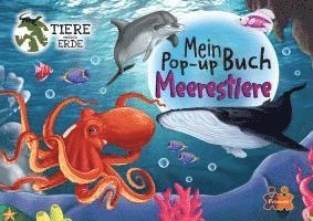 Tiere unserer Erde. Mein Meerestiere Pop-up Buch 1