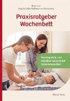 bokomslag Praxisratgeber Wochenbett