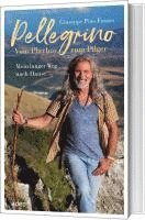 bokomslag Pellegrino - Vom Playboy zum Pilger
